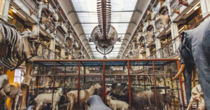 Cozy pubs, vibrant streets, and cultural landmarks showcasing how to live like a local in Dublin, Ireland, for travelers seeking genuine Irish experiences.