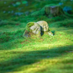 Explore the surprising truth about moderation in life and travel and how balancing your experiences can lead to more fulfilling and sustainable adventures.