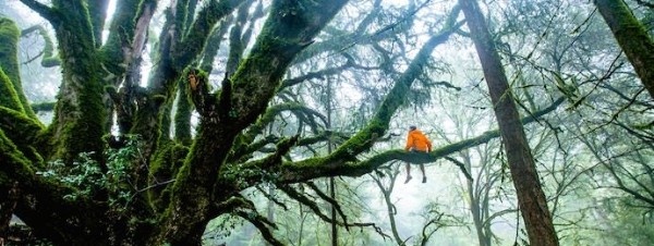Benefits of Traveling - Curiosity - Authentic Traveling